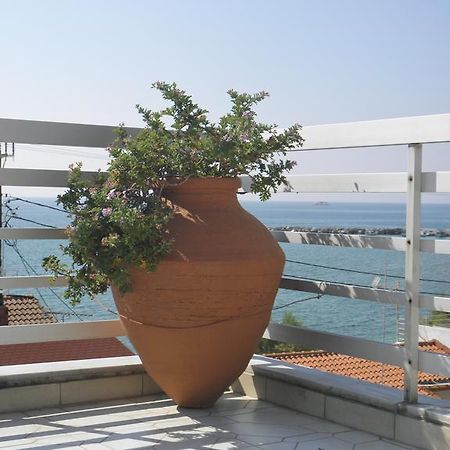 Hotel Venetia Ireo (Samos) Exterior foto